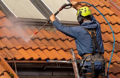 Démoussage et hydrofuge de toiture à Bize
